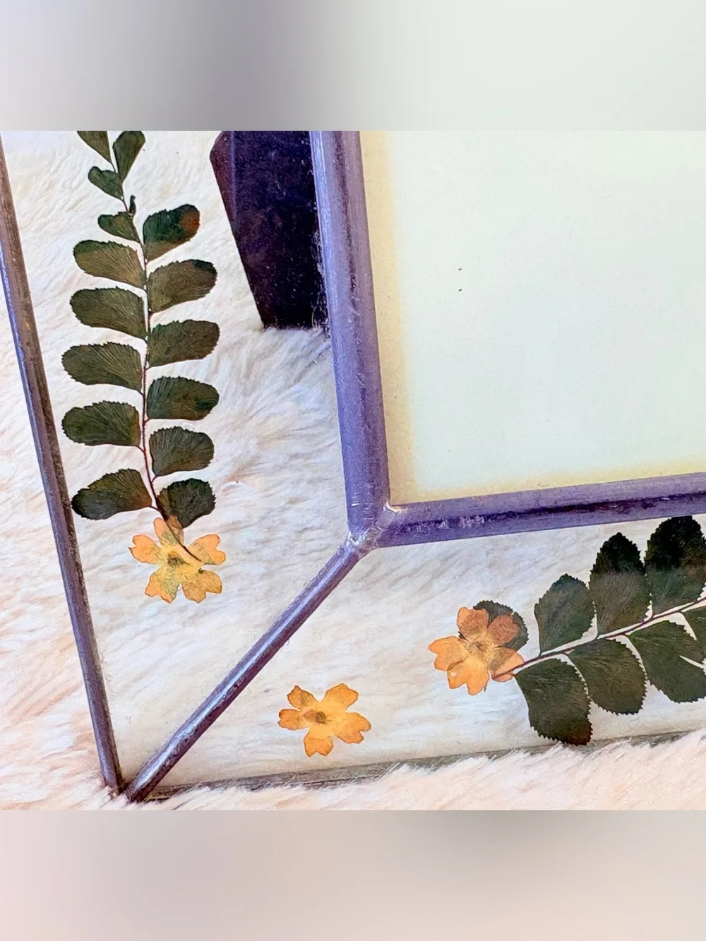 Vintage Carr Pressed flowers and fern glass Cottagecore picture frame~ 4”x6”